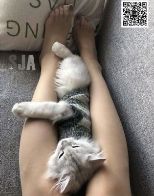 攻受啪啪各种姿势动态图_HDHD高清在线观看