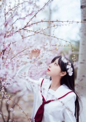 免费看男女高潮又爽又猛视_4K在线观看完整版